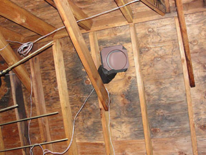 Attic Mold Poughkeepsie