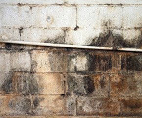 Home Mold Assessment Ramsey NJ