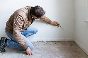 Is Mold Dangerous for your Health White Plains