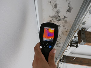 Mold Assessment Company White Plains