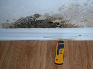 Mold Assessment Poughkeepsie