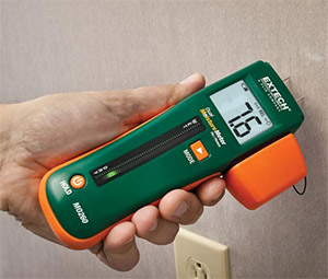 Mold Inspection Company White Plains