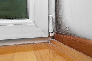 Mold Inspection White Plains NY