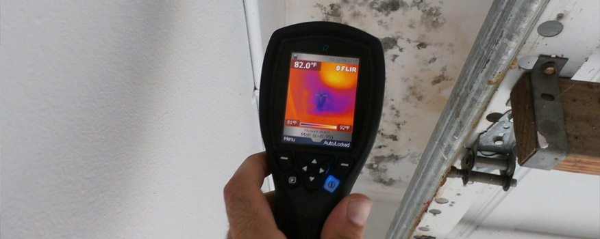 Mold & Lead Testing Company in Hudson Valley, Westchester, NY
