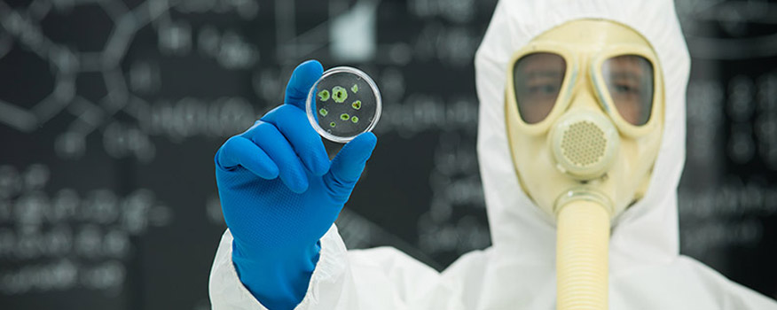 Mold & Lead Testing Company in Hudson Valley, Westchester, NY
