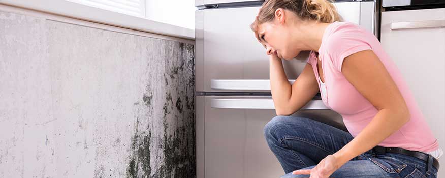 Mold Symptoms Poughkeepsie