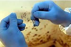 Mold Testing Company White Plains