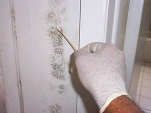 Mold Testing Poughkeepsie