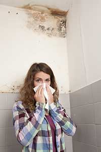 Signs I need a Mold Inspection