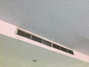 Is Mold Dangerous for your Health White Plains